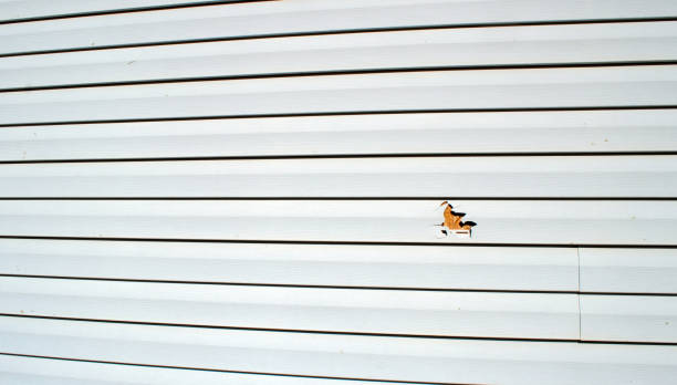 Best Stone Veneer Siding  in Fair Haven, NJ