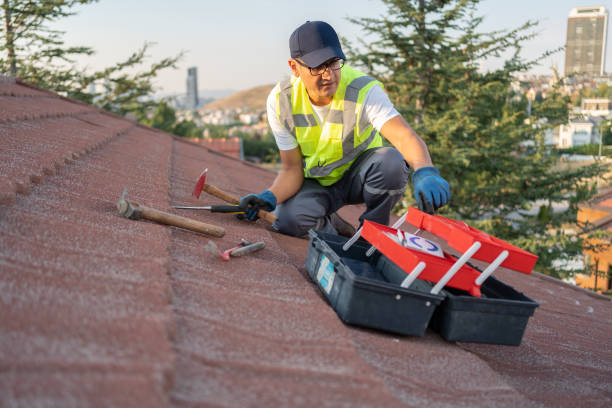 Best Custom Trim and Detailing for Siding  in Fair Haven, NJ